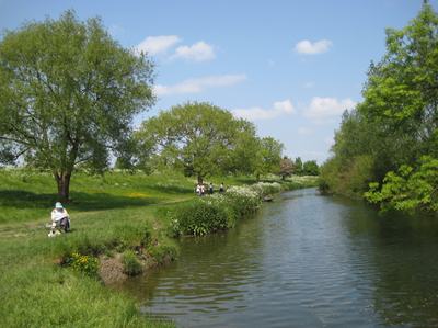 Granchester Meadows