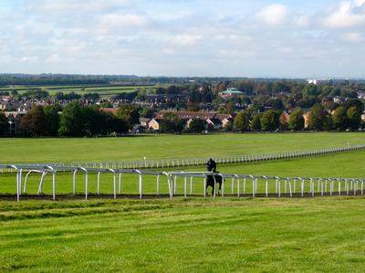 Newmarket races